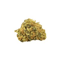 N!ce 17/1 DD Do-Si-Dos